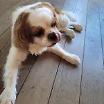 Les Jolis Coeurs Hotel