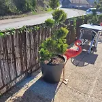 Hotel Les Jolis Coeurs *