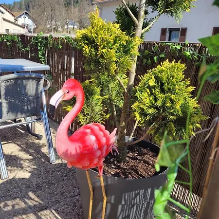 Les Jolis Coeurs ホテル *