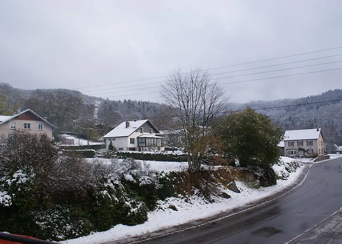 酒店 朱里斯心酒店 *