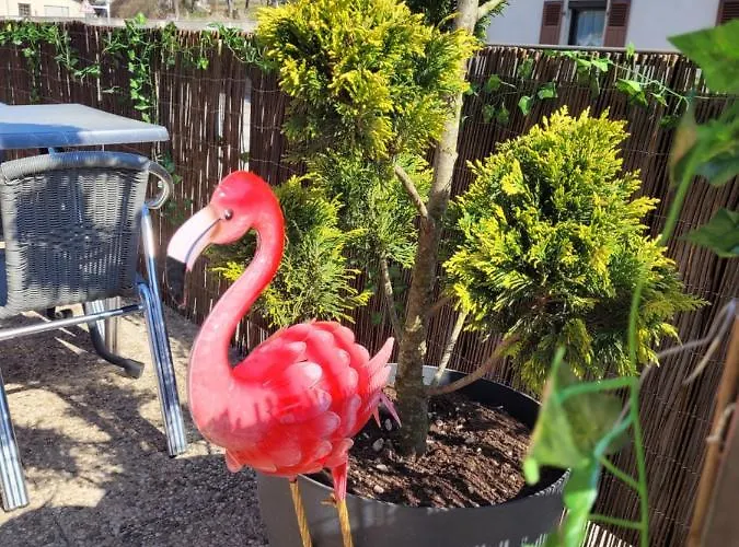 Les Jolis Coeurs ホテル *