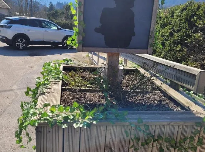 朱里斯心酒店 蒂福斯