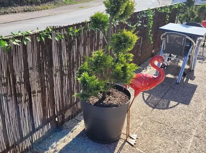 酒店 朱里斯心酒店 *