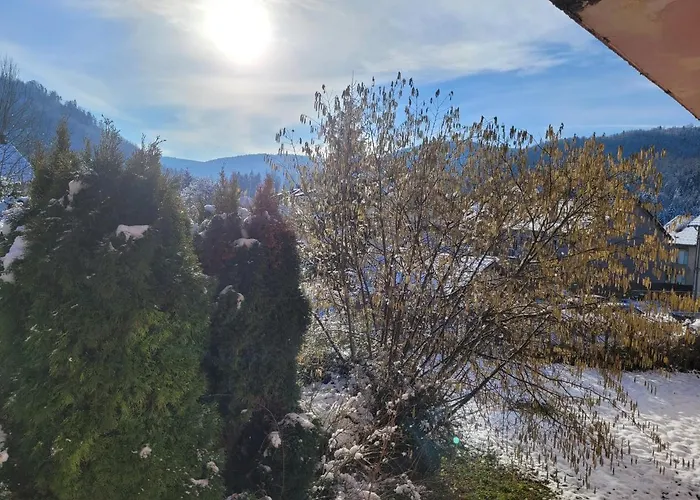 酒店 朱里斯心酒店 蒂福斯