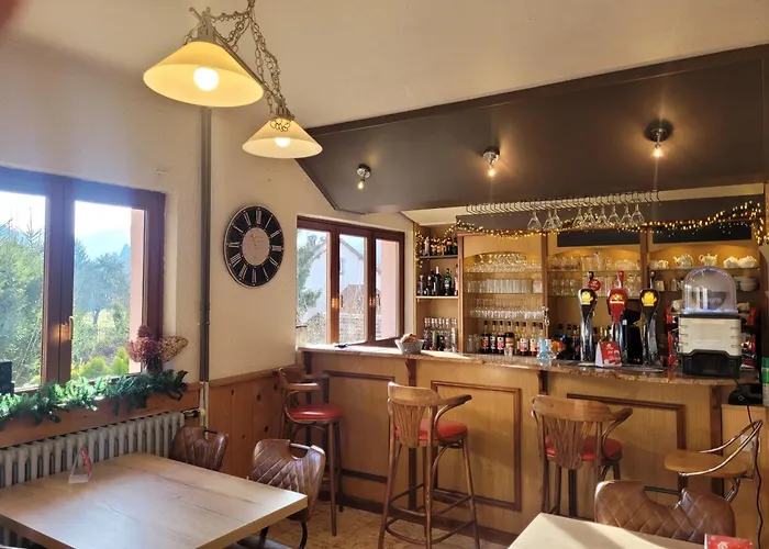 朱里斯心酒店 酒店 *