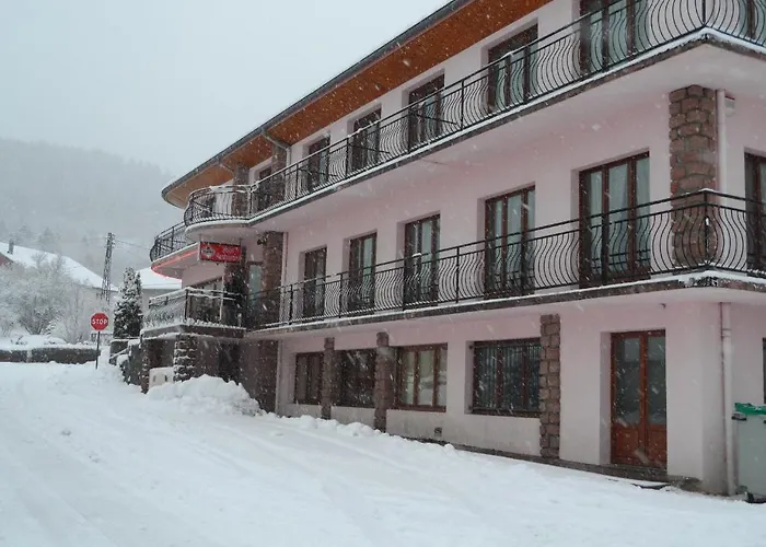 酒店 朱里斯心酒店 *